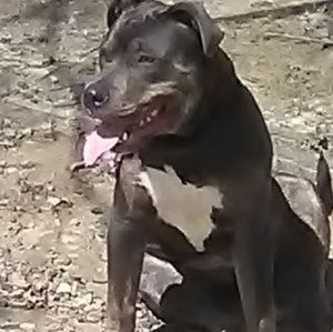 Meet your Posher, Douglas